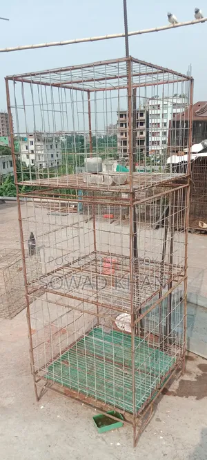 খাঁচা 24' 24