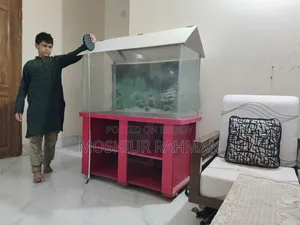 Aquarium for Sell