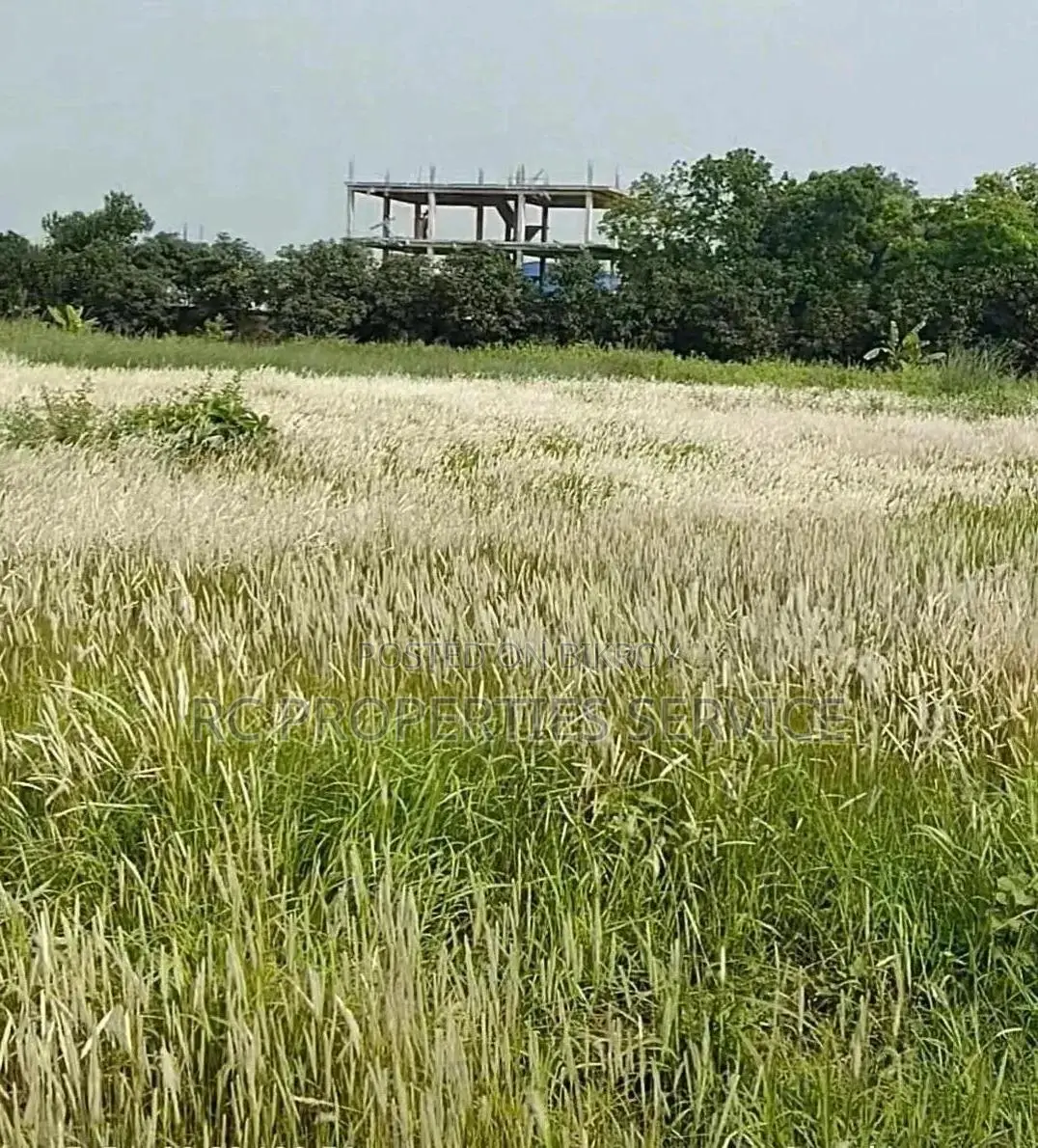 ৭ বিঘা জমি ভাড়া