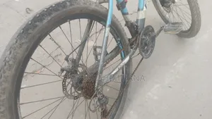 Falcon Bicycle sell