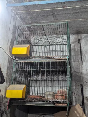 ২৪/২৪ মোটা রডের খাঁচা
