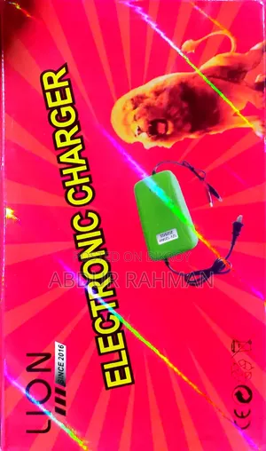 12-v 120ah Original China Charger