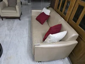 সোফা - ভালো অবস্থায়