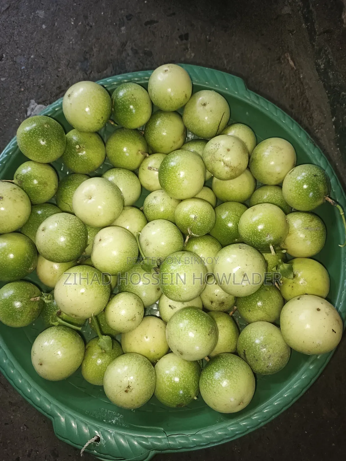 Tang Fruit/Anarkali Saplings for Sale - 50 to 150 Taka