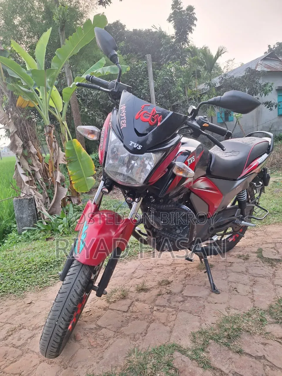 TVS King 2018 Red
