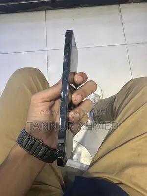 Apple iPhone 12 Pro Max 256 GB Blue