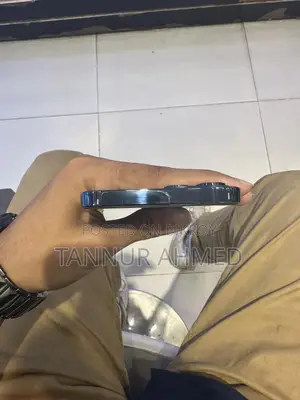Apple iPhone 12 Pro Max 256 GB Blue