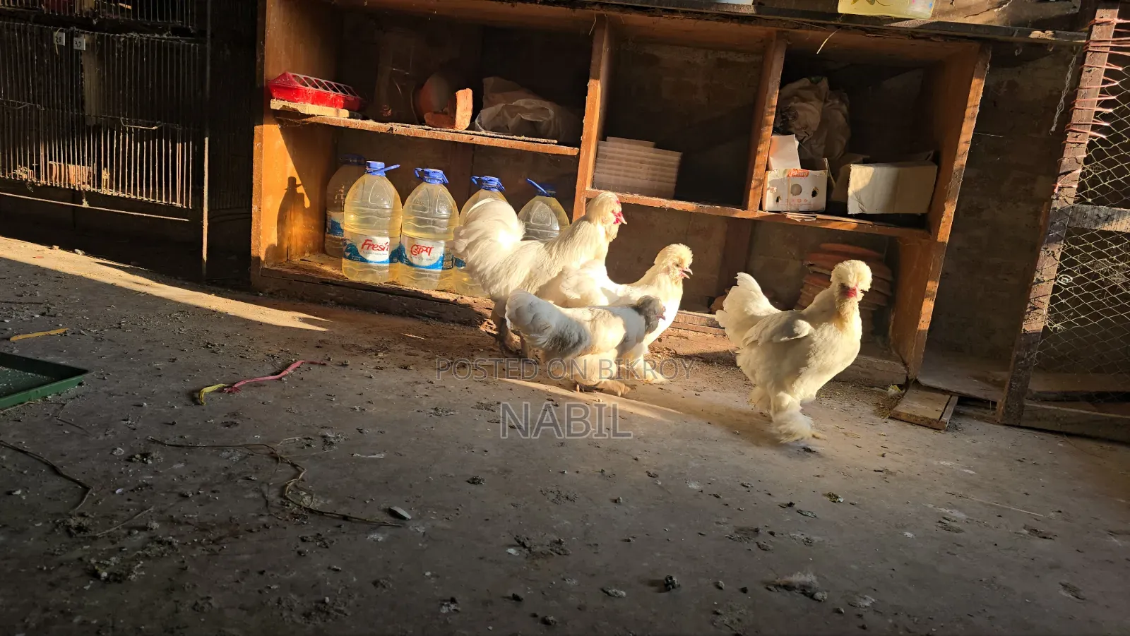 ১ সেট সুলতান