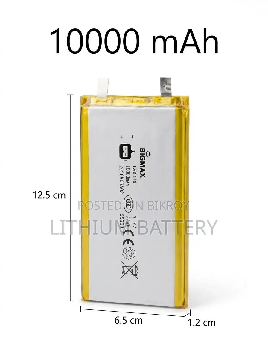 10000 Mah Li-Ion Polymer Battery