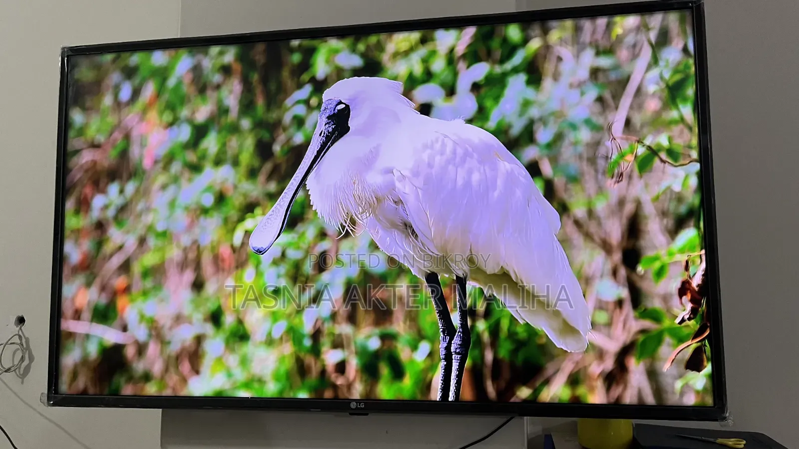 Lg Smart Tv 43inch