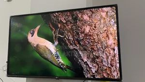 Lg Smart Tv 43inch