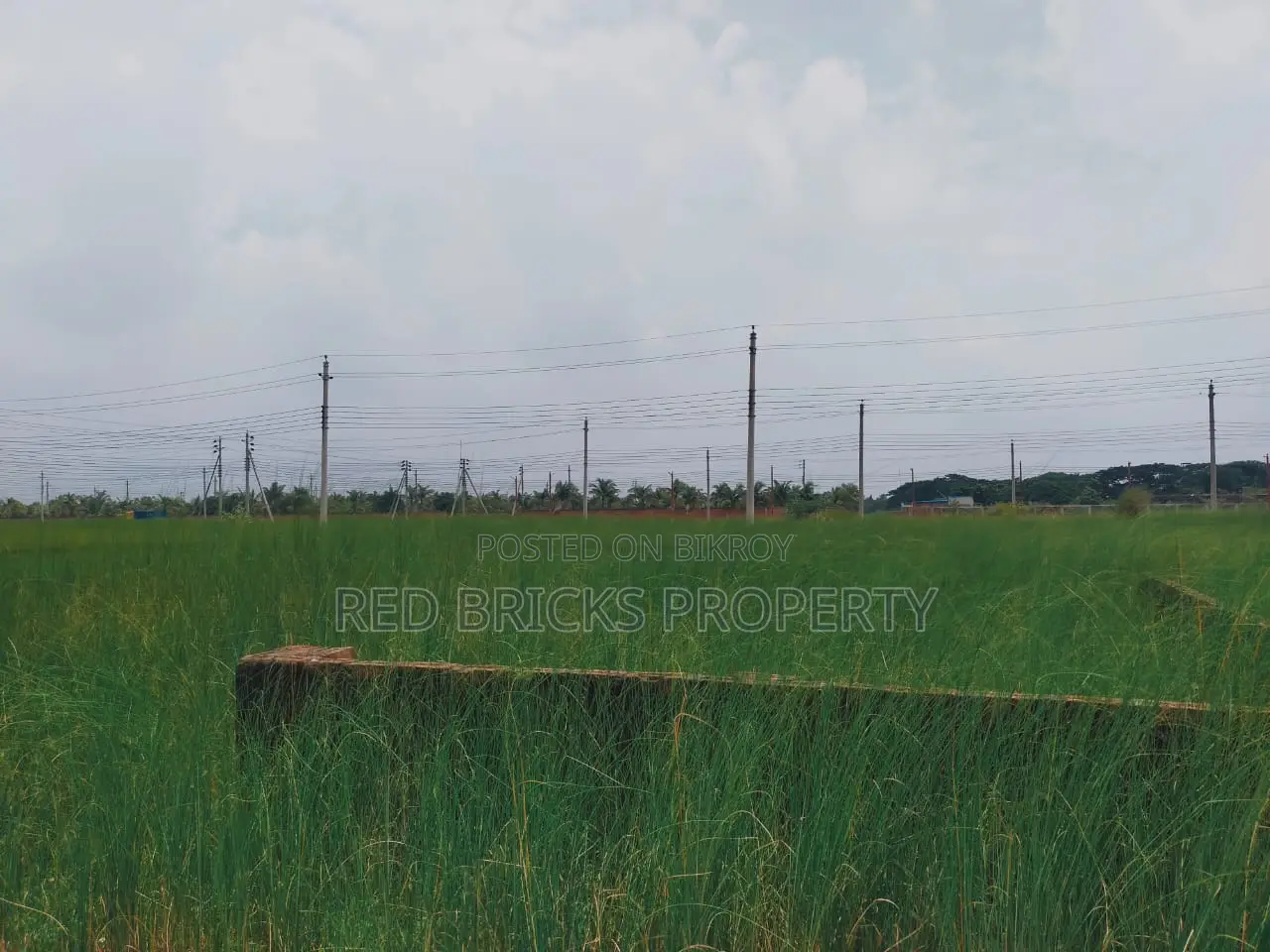 3 Katha Plot Sell in N Block, Bashundara R/A