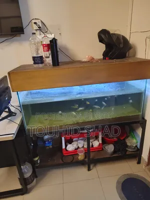 Aquarium Setup Sell Post