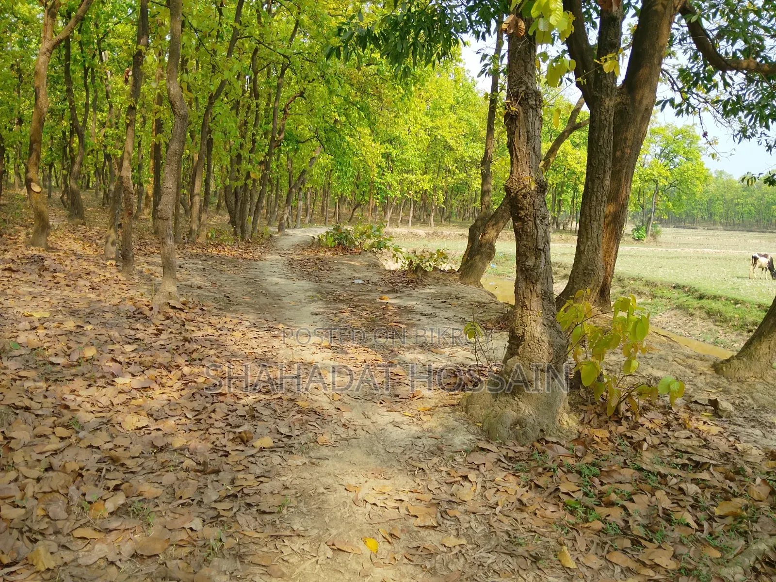 জমি বিক্রি