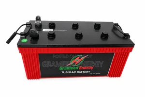 Grameen Energy 200 Ah Tubular Battery