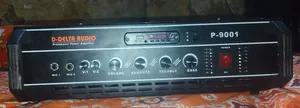 Delta Audio Amplifier