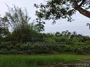 আকর্ষণীয় টিলা জমি বিক্রয় হবে