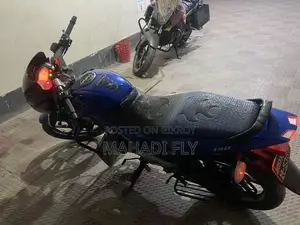 Bajaj Pulsar 150 2013 Blue