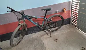 Rock Rider Cycle