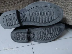 বুটস ক্যাটস আইস
