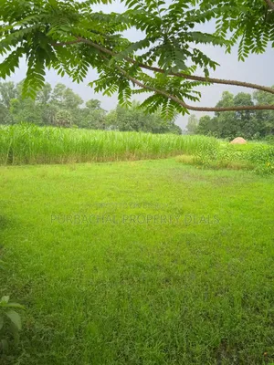 কালিগঞ্জ উপজেলায় কাঁচা ১২ ফিট রোড সংলগ্ন ১ বিঘা জমি বিক্রয় হবে