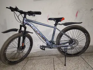 Phoenix Trooper MTB