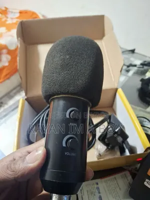 Microphone (Condenser)