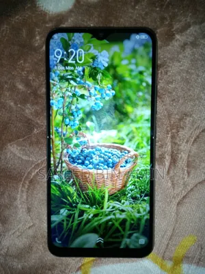 Vivo Y17 256 GB