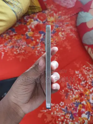 Apple iPhone 16 Pro 256 GB Gray
