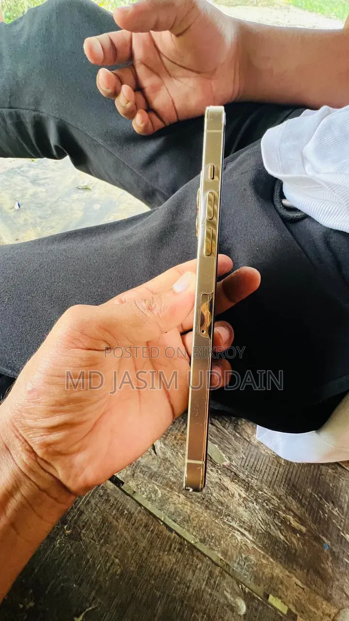অ্যাপল আইফোন ১২ প্রো ম্যাক্স ২৫৬ জিবি রোজ গোল্ড