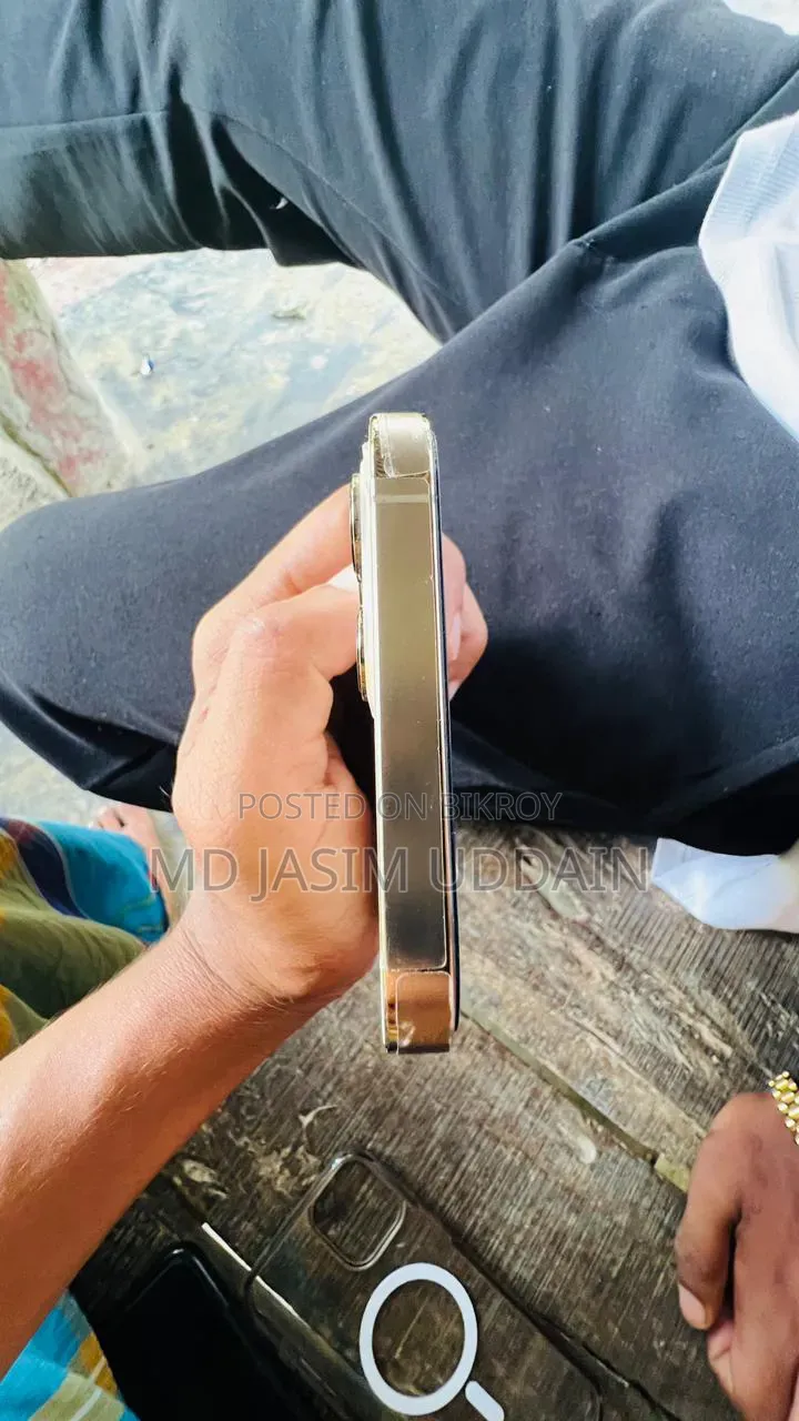 অ্যাপল আইফোন ১২ প্রো ম্যাক্স ২৫৬ জিবি রোজ গোল্ড