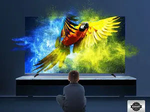 Sony Plus 43" স্মার্ট এলইডি টিভি দাম কম, কোয়ালিটি বেস্ট