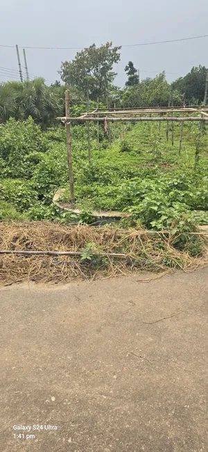 রাজউক পূর্বাচল ৫৪ ও ৩০ ফিট কর্নার প্লট