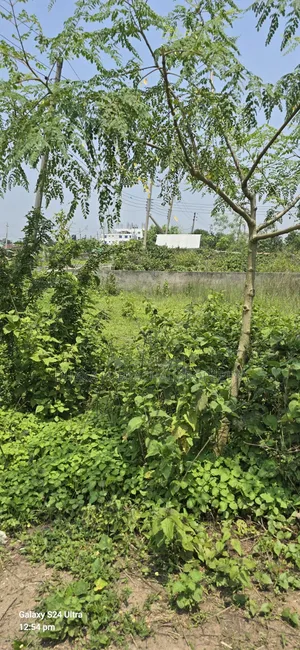 দশ কাঠা লেক ভিউ দক্ষিণমুখী কর্নার প্লট বিক্রয় হবে