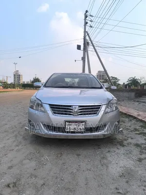 Toyota Premio 2010 Gray