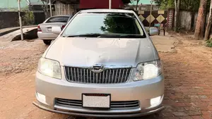 Toyota Corolla 2005 Gray