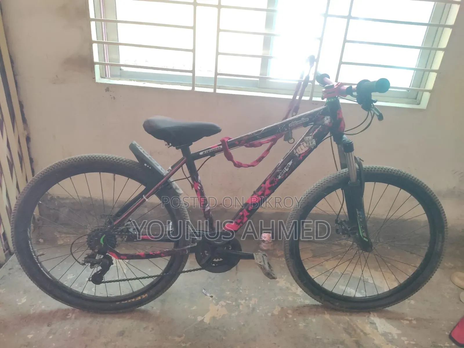 Phoenix Cycle 26'