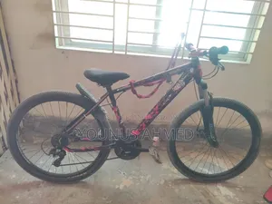 Phoenix Cycle 26'