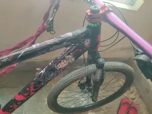 Phoenix Cycle 26'