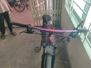 Phoenix Cycle 26'