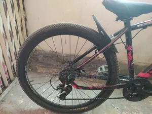 Phoenix Cycle 26'