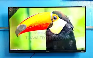 Singer-43"Inche Smart Voice Control Dolby Audio Sound Systems Tv