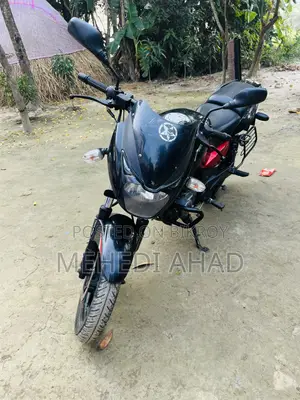 Bajaj Pulsar 150 2019 Black