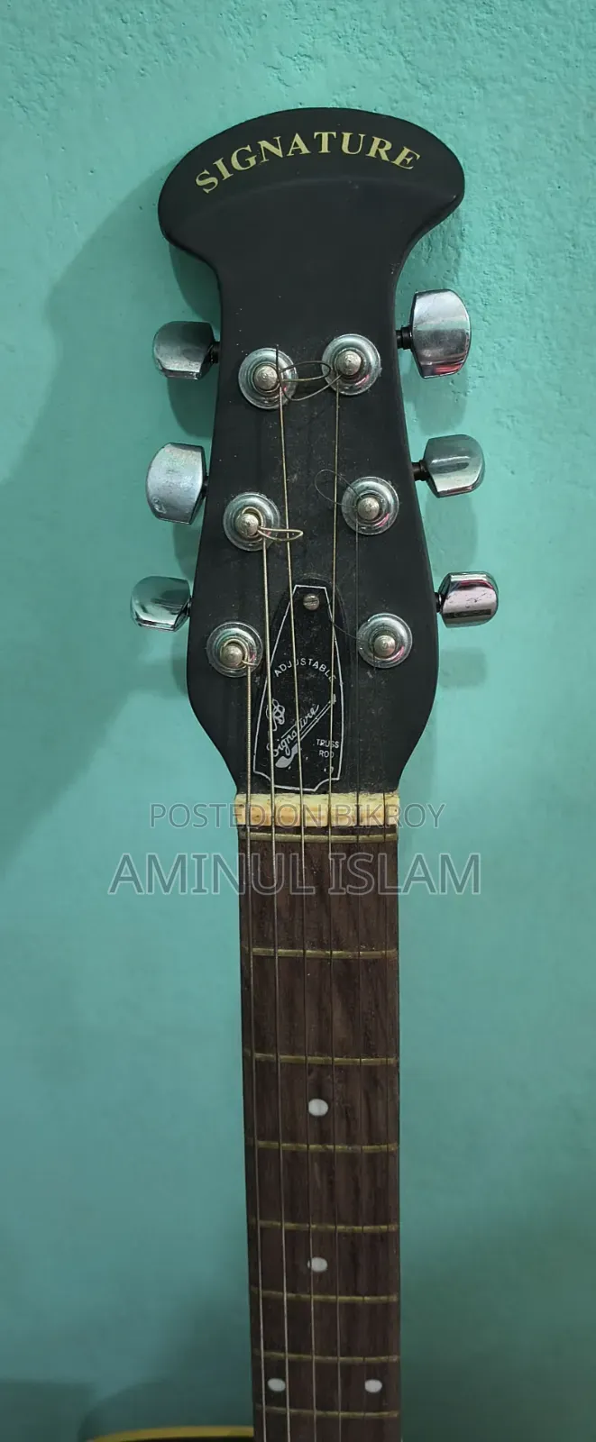 সিগনেচার গিটার (অরিজিনাল)