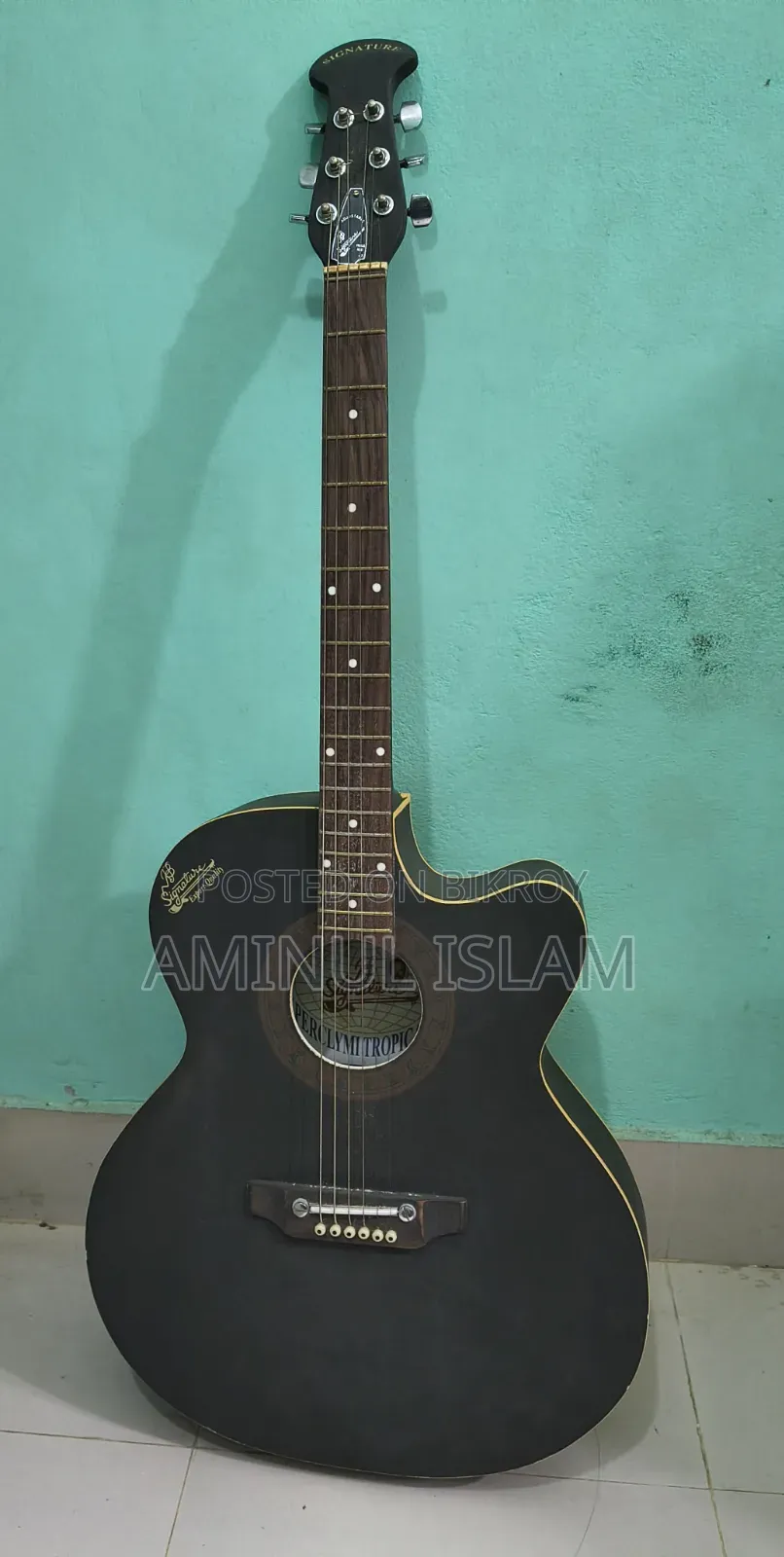 সিগনেচার গিটার (অরিজিনাল)