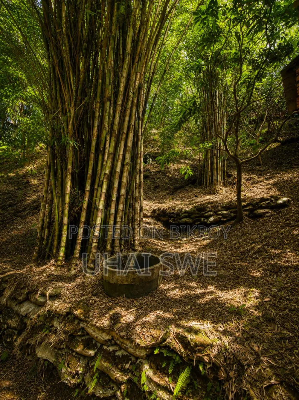 On and No Eco Resort