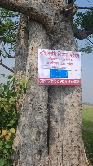Note: This land is located in Krishnapur Mouza of Bochaganj Upazila (Dinajpur).