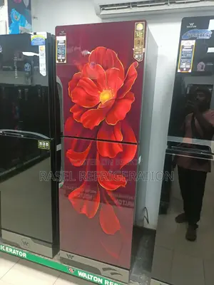 40% ছাড়ে 380 লিটার ওয়ালটোন ফিরিজ। মডেল WFC-3f5-Gdel
