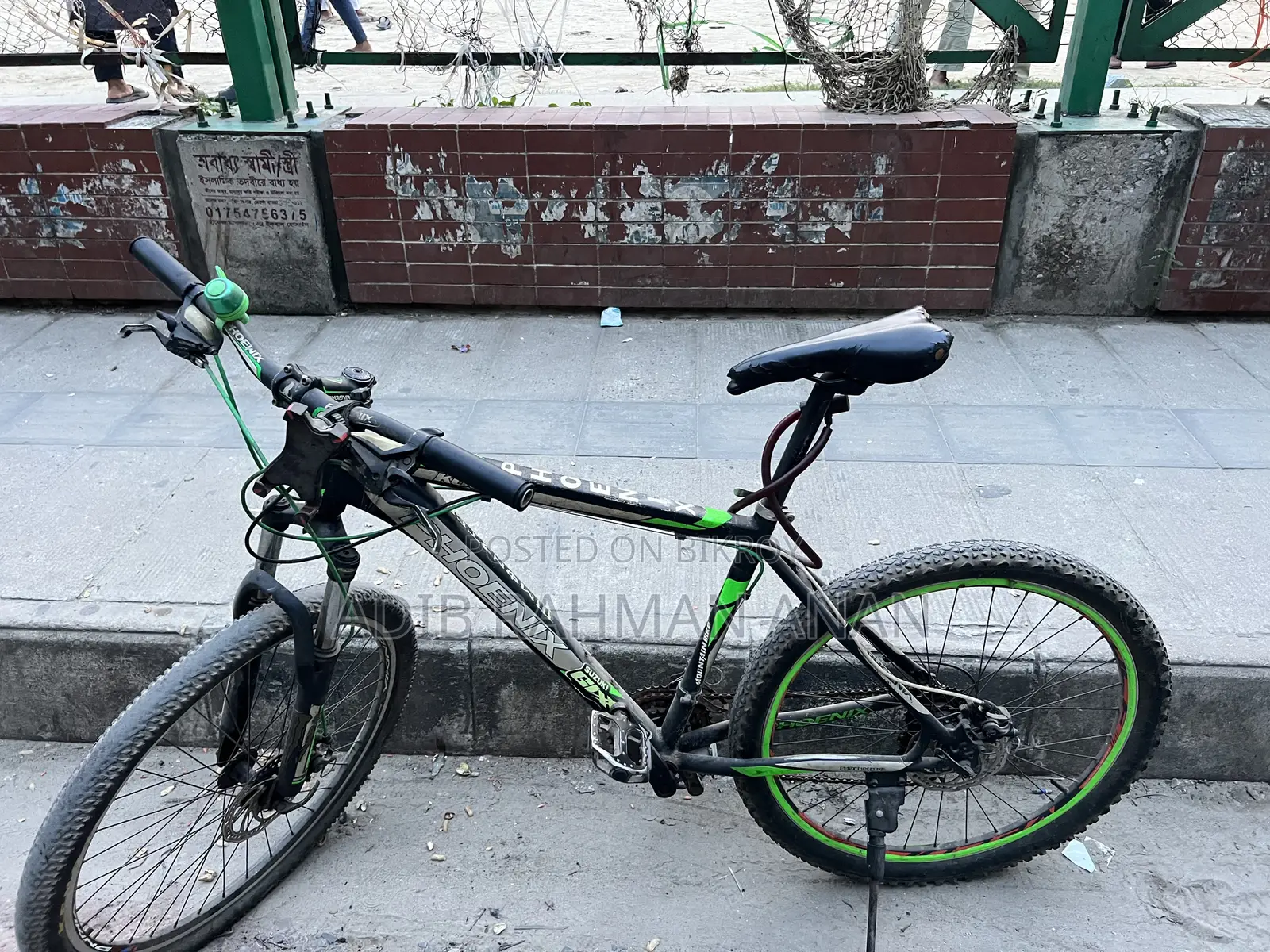 Phoenix Cycle
