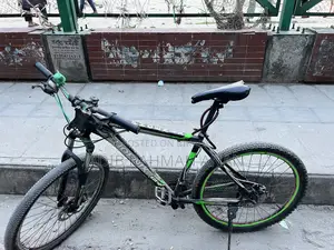 Phoenix Cycle